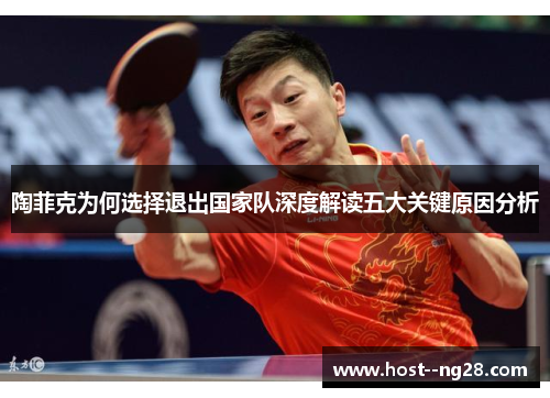 陶菲克为何选择退出国家队深度解读五大关键原因分析 陶菲克为何选择退出国家队深度解读五大关键原因分析